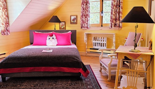 Habitación estándar doble, 1 cama de matrimonio, baño privado (Chenonceau)