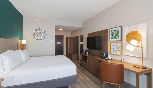 Habitación estándar, 1 cama de matrimonio grande