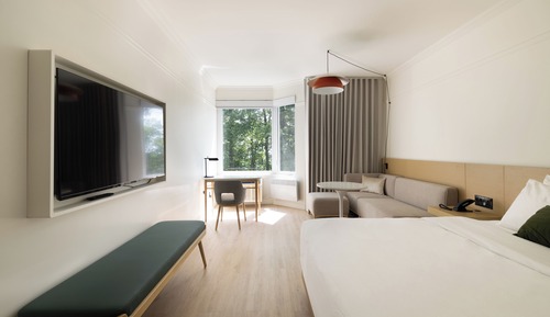 Habitación estándar, 1 cama de matrimonio grande, vistas a la montaña