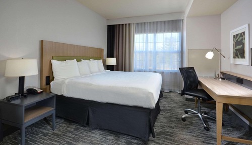 Habitación básica, 1 cama de matrimonio grande, no fumadores (Roll-in Shower)