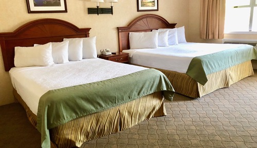 Habitación Deluxe, varias camas, vistas a la piscina