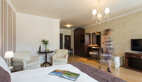 Alpine Executive Room