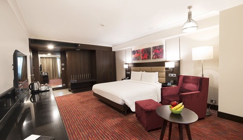 Suite ejecutiva, 1 cama de matrimonio grande
