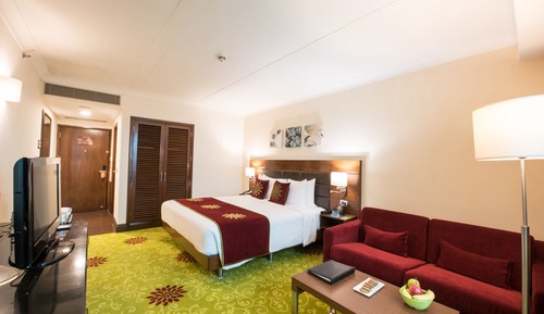 Habitación Premium, 1 cama de matrimonio grande