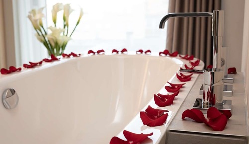 Suite estudio junior