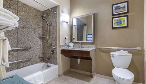 Suite, 1 cama de matrimonio grande con sofá cama, accesible para personas con discapacidad