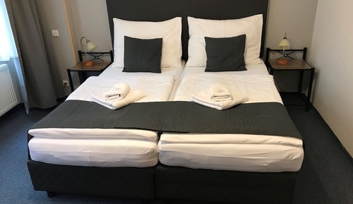 Habitación Deluxe con 1 cama doble o 2 individuales