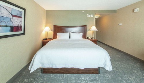 Habitación, 1 cama de matrimonio grande, accesible para personas con discapacidad (Hearing)