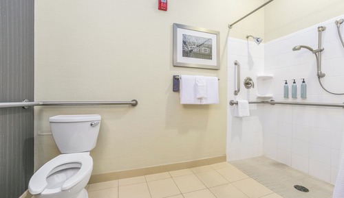 Habitación, 1 cama de matrimonio grande con sofá cama (Mobility/Hearing Access, Roll-In Shwr)