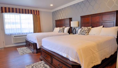 Suite estudio Premier