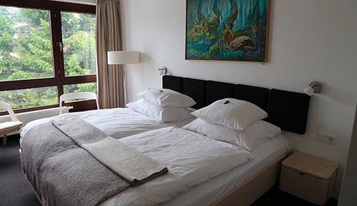 Habitación individual Confort