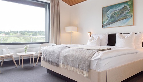 Habitación Deluxe doble