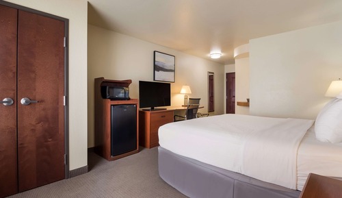 Habitación estándar, 1 cama de matrimonio grande, no fumadores, frigorífico y microondas