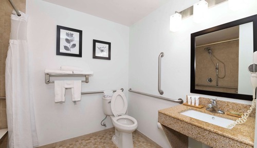 Habitación, 1 cama de matrimonio grande, accesible para personas con discapacidad (Roll-in Shower)