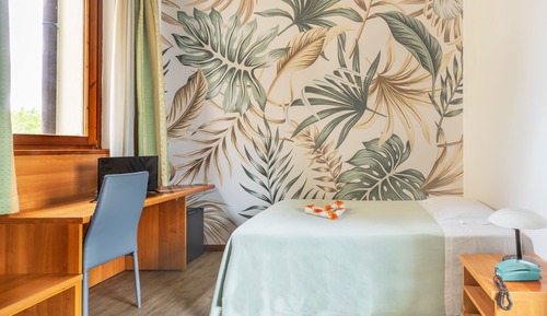 Habitación individual estándar