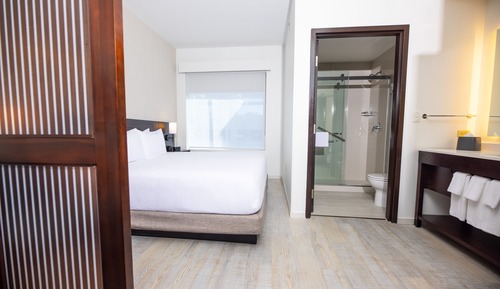 Habitación, 1 cama de matrimonio grande, accesible para personas con discapacidad (Shower)