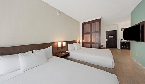 Guest Room, Habitación estándar, varias camas