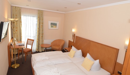 Habitación básica doble, junto a la montaña