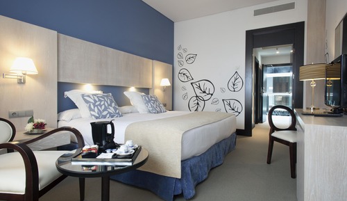 Habitación Deluxe doble de uso individual