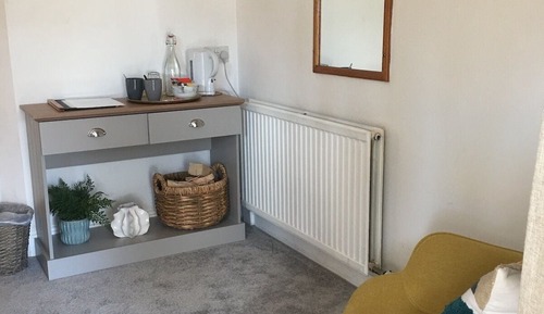 Habitación estándar con 1 cama doble o 2 individuales, baño privado (Pet-Friendly)