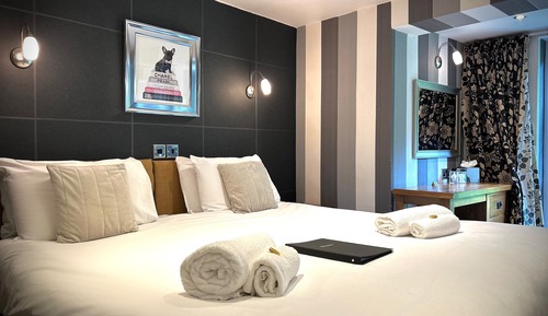 Habitación Premier con 1 cama doble o 2 individuales