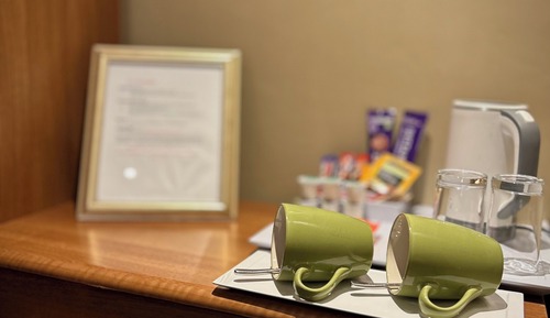 Habitación Premier con 1 cama doble o 2 individuales