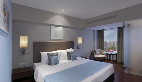 Habitación Deluxe doble, 1 cama doble