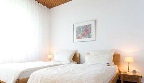 Habitación estándar doble, en la zona del jardín