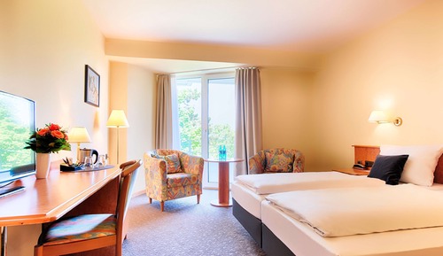 Habitación Business con 2 camas individuales, vistas al parque