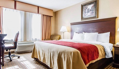 Habitación estándar, 1 cama de matrimonio grande, no fumadores