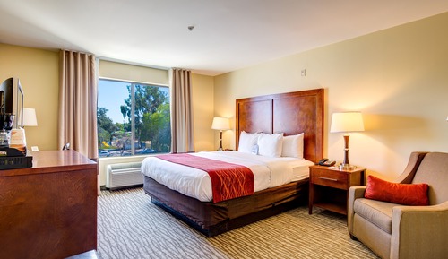 Habitación estándar, 1 cama de matrimonio grande, no fumadores