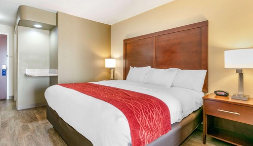 Suite, 1 cama de matrimonio grande con sofá cama, accesible para personas con discapacidad