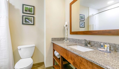 Habitación estándar, 1 cama de matrimonio grande, no fumadores