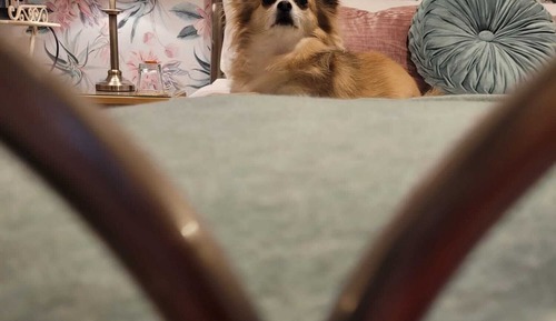 Standard Double Room, Ensuite (Dogrose Rest)