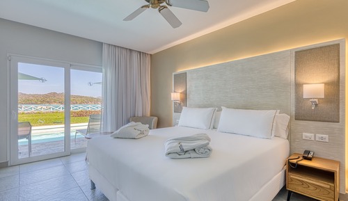 Senator Swim Up Suite Ocean View