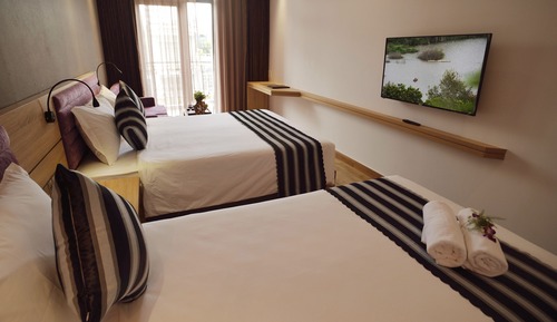 Habitación Deluxe con 2 camas individuales