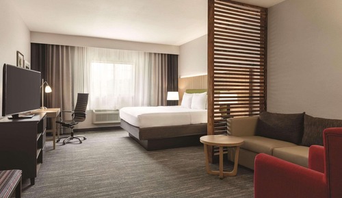 Suite estudio, 1 cama de matrimonio grande con sofá cama, accesible para personas con discapacidad