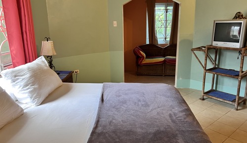 Habitación individual Deluxe, 1 cama de matrimonio, no fumadores, vistas al jardín