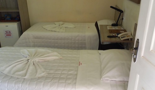 Habitación ejecutiva con 2 camas individuales