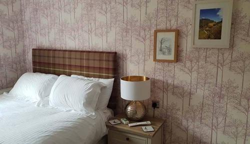 Habitación individual Deluxe