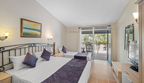 Habitación estándar, balcón, vistas al jardín