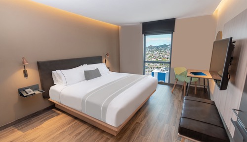 Habitación estándar, 1 cama de matrimonio grande