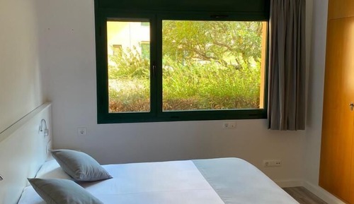 Habitación estándar con 1 cama doble o 2 individuales, accesible para personas con discapacidad