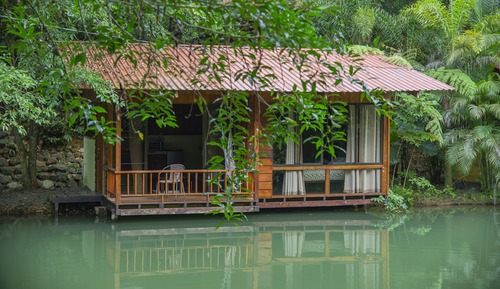 Bungalow superior, varias camas, no fumadores, vistas al lago