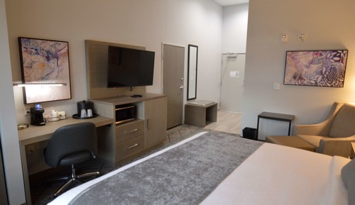 Habitación estándar, 1 cama de matrimonio grande, frigorífico y microondas (Walk-in Shower)