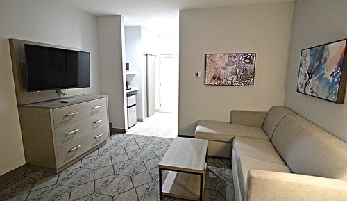 Suite, 1 cama de matrimonio grande, no fumadores, cocina básica (Shower Only;with Sofabed)