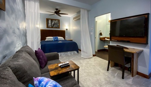 Suite de lujo, 1 cama de matrimonio grande, no fumadores, vistas al complejo turístico (Suite 3)