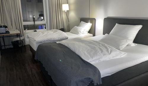 Habitación estándar con 2 camas individuales