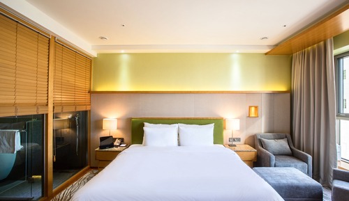 4.Ocean View Deluxe King Room