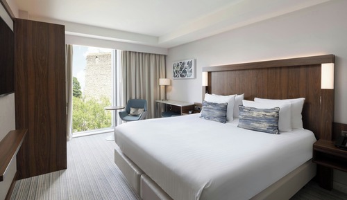 Habitación Premium, 1 cama de matrimonio grande, no fumadores (View)